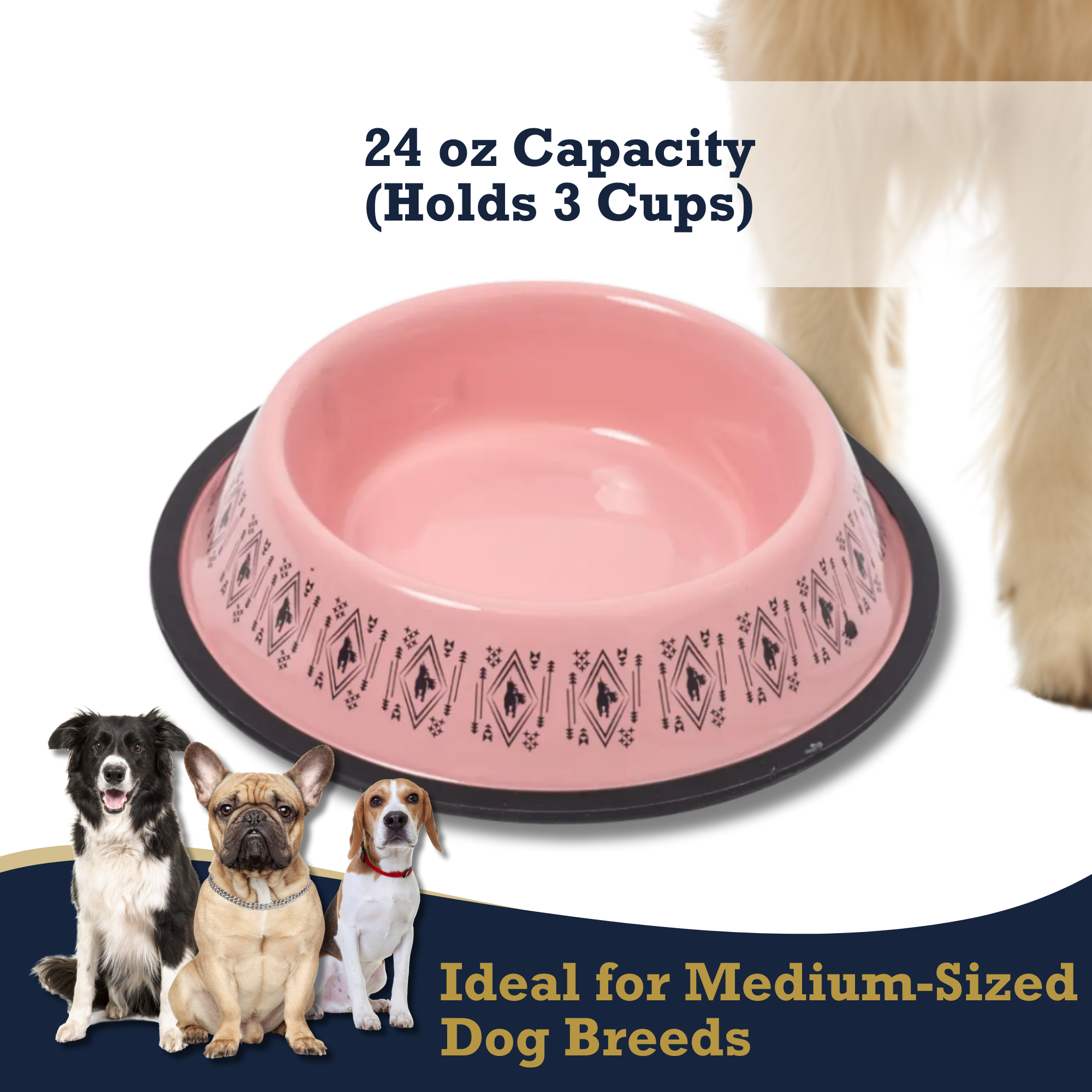 Non-Skid Boho Stainless Steel Dog Bowl – with Whimsical Unicorn Design, Silicone Base for Medium Dogs – 24oz - BIG FRENCHIES