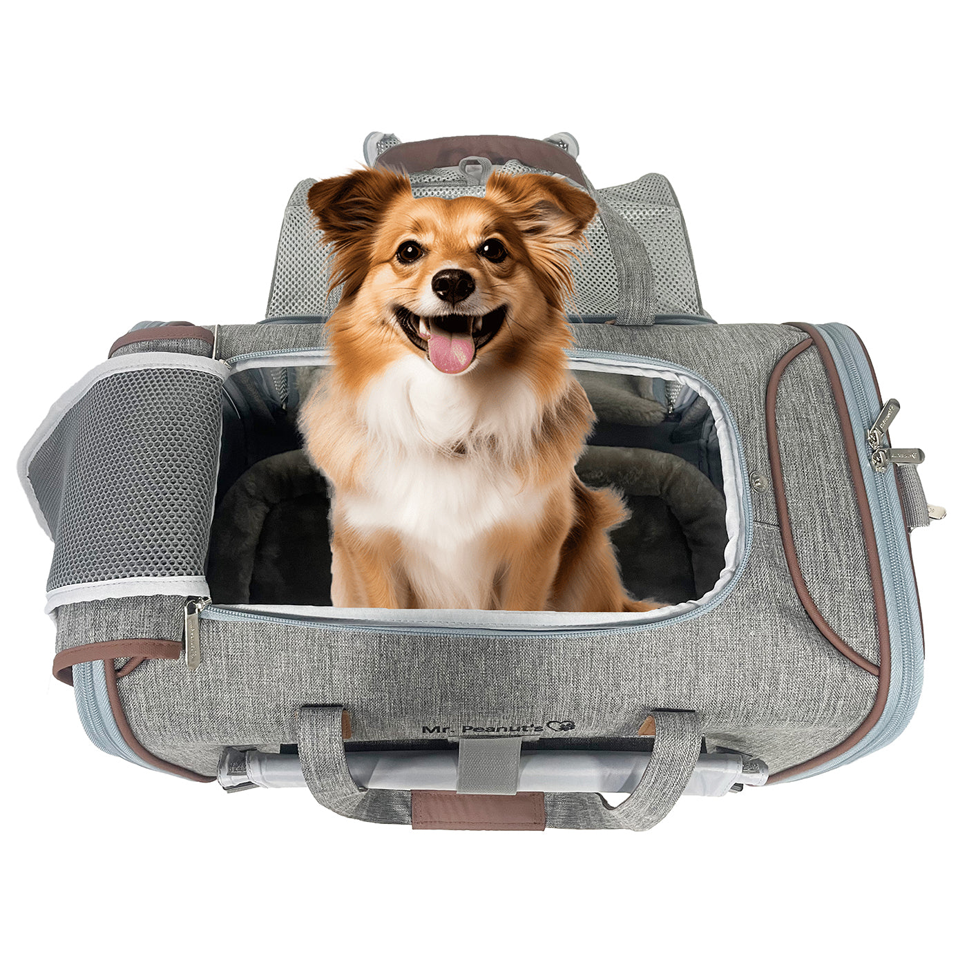 Mr. Peanut's Gold Series Standard Size Airline Compliant Expandable Pet Carrier V3.0 - BIG FRENCHIES