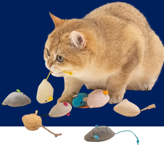 Plush Rat Cat Toy Set – 3/7PCS Durable Linen Indoor Play - BIG FRENCHIES
