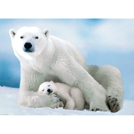 Polar Bear & Baby 1000 Piece Jigsaw Puzzle Eurographics