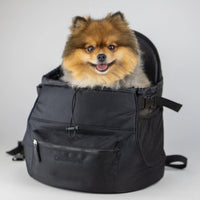 Premium All-Black Pet Backpack - BIG FRENCHIES