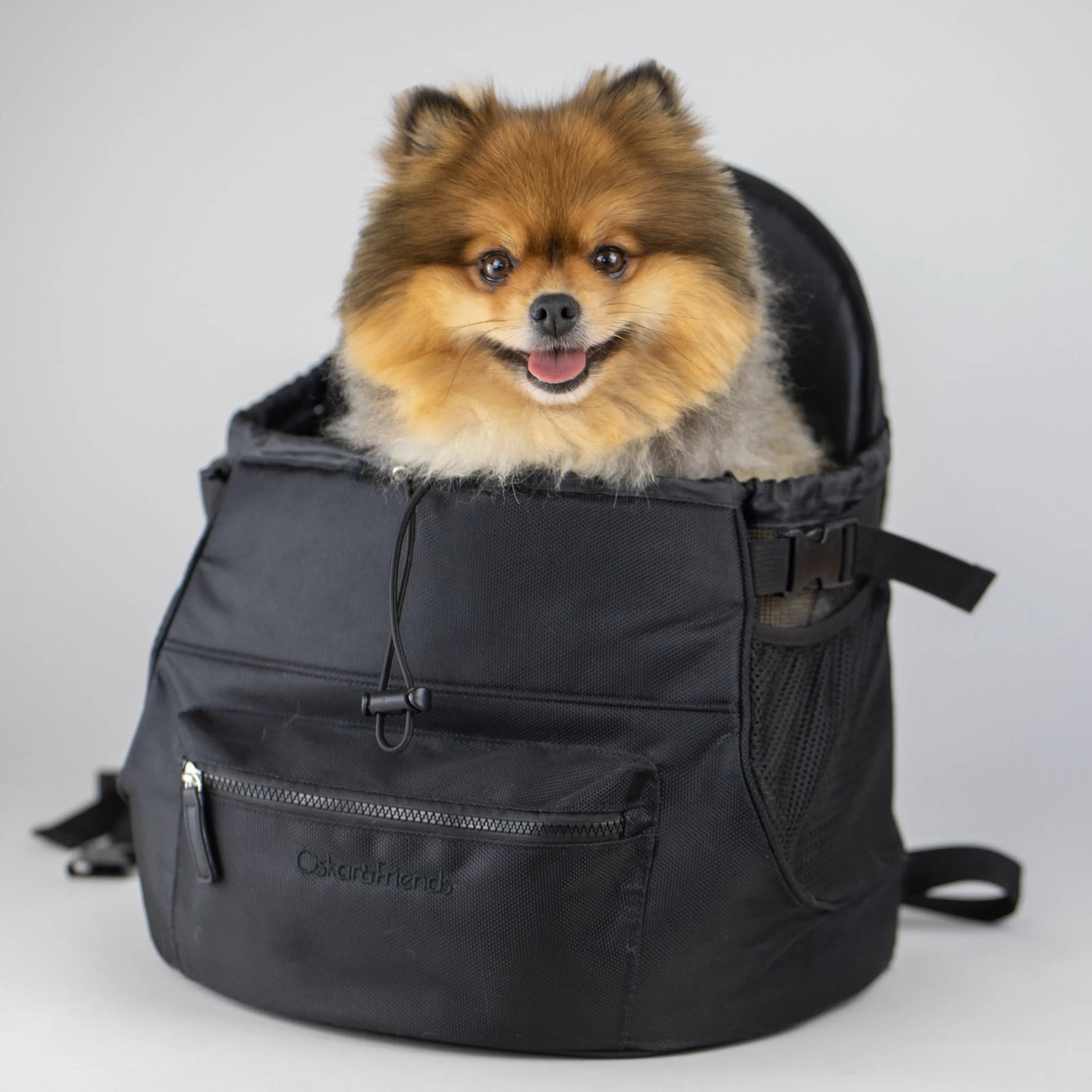 Premium All-Black Pet Backpack - BIG FRENCHIES