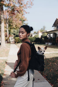 Premium All-Black Pet Backpack - BIG FRENCHIES