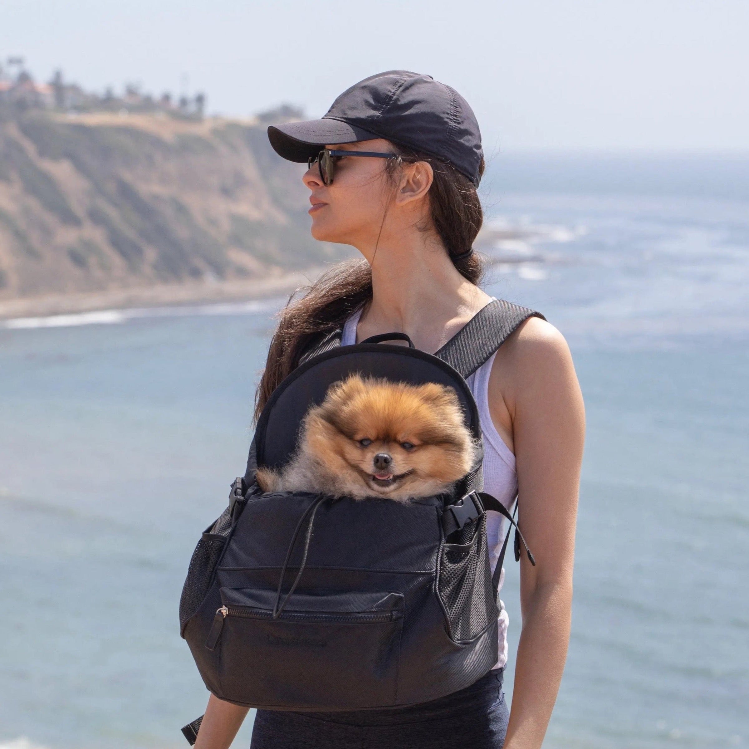 Premium All-Black Pet Backpack - BIG FRENCHIES
