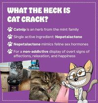 Premium Natural Catnip Blend for Cats Training, Toys & Playtime Stimulation