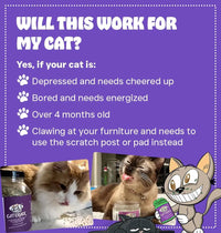 Premium Natural Catnip Blend for Cats Training, Toys & Playtime Stimulation