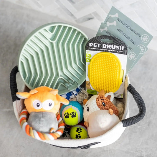 Premium New Puppy Gift Basket – Dog Starter Kit & Birthday Toy Set - BIG FRENCHIES