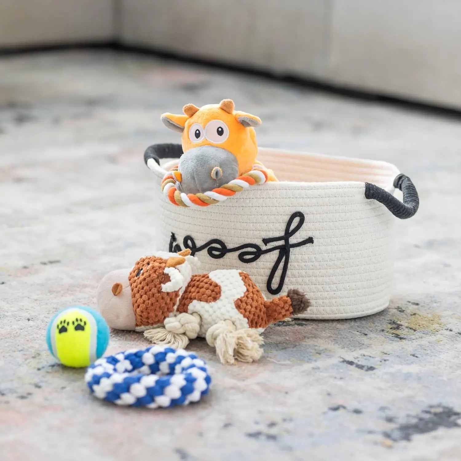 Premium New Puppy Gift Basket – Dog Starter Kit & Birthday Toy Set - BIG FRENCHIES