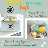 Premium New Puppy Gift Basket – Dog Starter Kit & Birthday Toy Set - BIG FRENCHIES