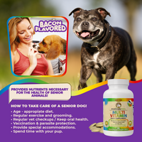 Multivitamin for Dogs & Cats. Prenatal Vitamins. 60 Tabs - BIG FRENCHIES