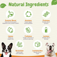 Probiotics for Dogs – Allergy, Gut Health & Digestive Support Chews for Itchy Skin, Yeast & Diarrhea