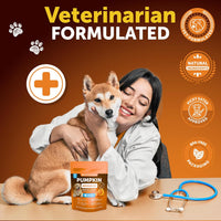Pumpkin Powder for Dogs Fiber Supplement Digestion Stool Diarrhea Relief 16oz