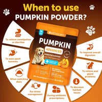 Pumpkin Powder for Dogs Fiber Supplement Digestion Stool Diarrhea Relief 16oz