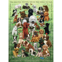 Puppy Love 350 Piece Family Jigsaw Puzzle Cobble Hill - BIG FRENCHIES