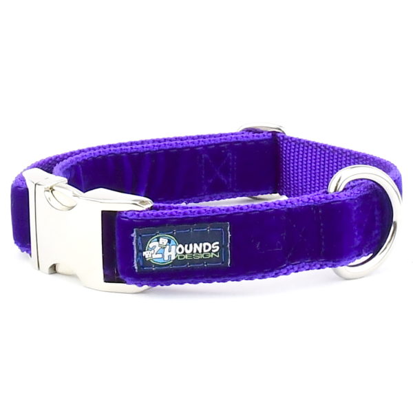 Purple Velvet Essential Dog Collar-Pet Collars & Leashes-BIG FRENCHIES-2 Hounds Design