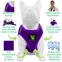 EcoBark Purple Step In Dog Harness - Rapid Fastener Reflective Soft Mesh Dog Vest Halter for Small Dogs and Puppies - BIG FRENCHIES