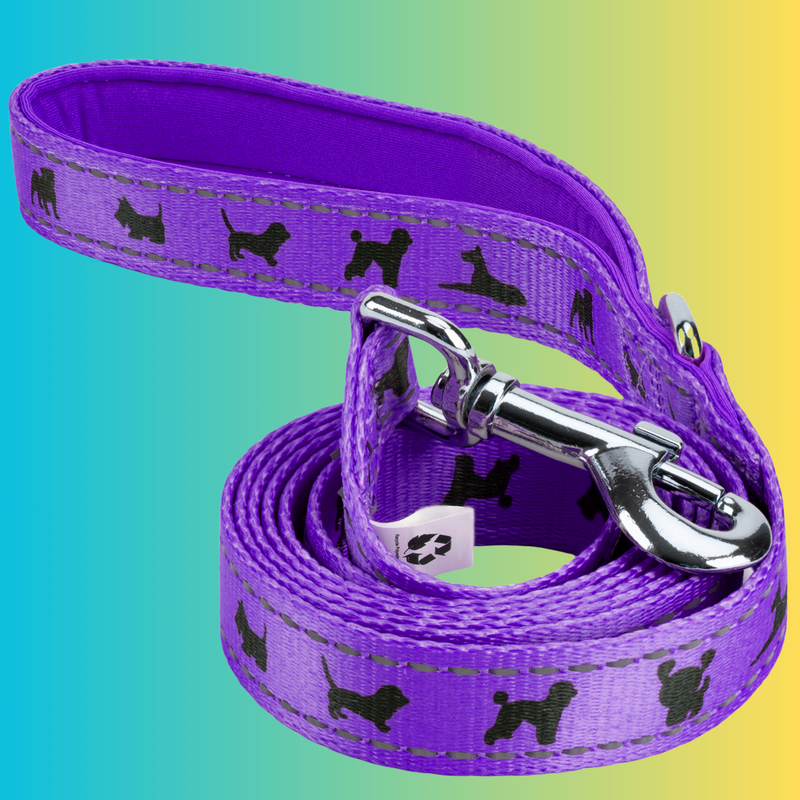 EcoBark Purple Dog Leash- Padded Comfort Grip Leash Dog Pattern - 4ft, 5ft, and 6ft for XS, Small, and Medium Dogs - BIG FRENCHIES