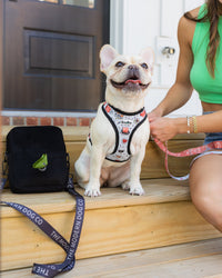 The Modern Dog Company - Bad to the Bone Harness - BIG FRENCHIES