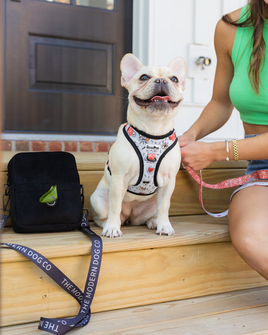 The Modern Dog Company - Bad to the Bone Harness - BIG FRENCHIES