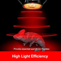G9 Reptile Infrared Heat Lamp Kit 50W UVA Basking Light Hood Mesh