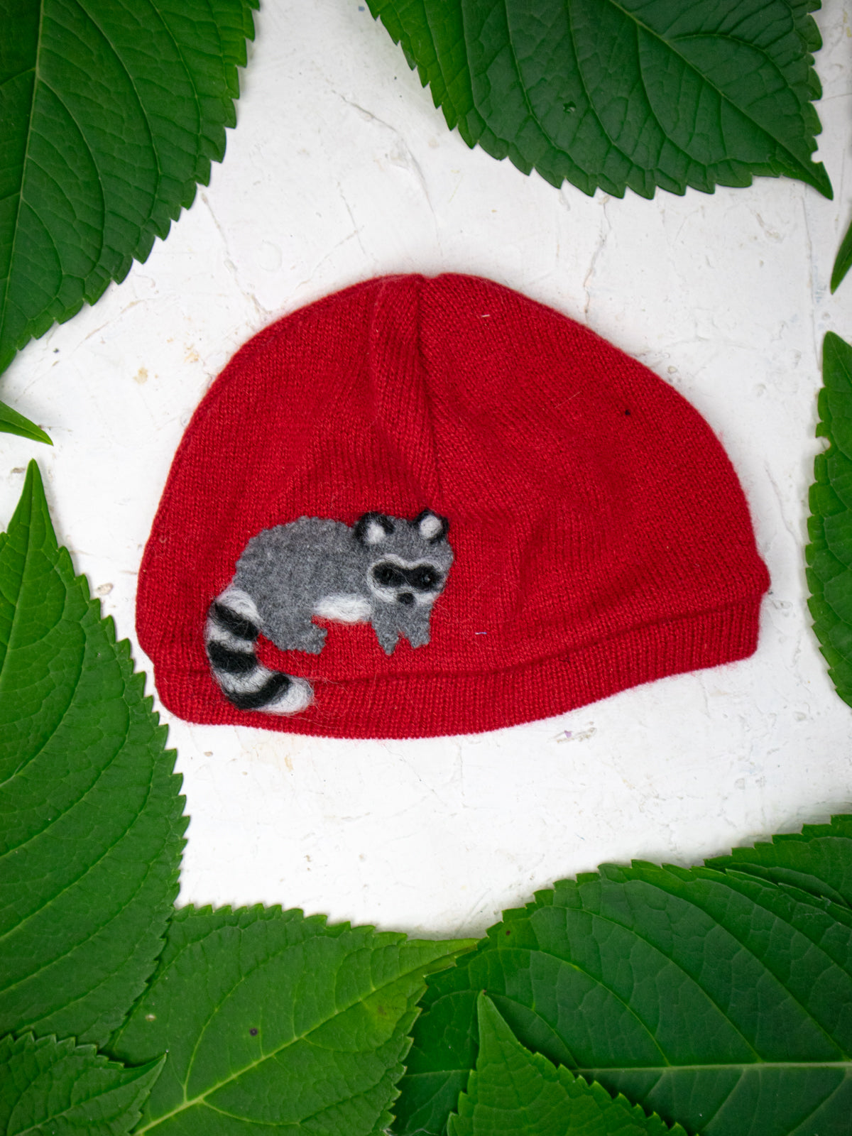 Raccoon Cashmere Hat - Baby - BIG FRENCHIES