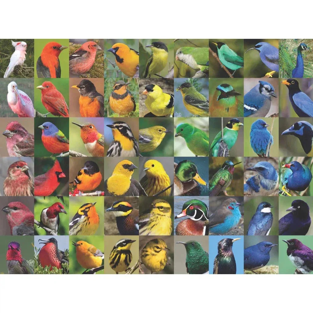 Rainbow of Birds 1000 Piece Jigsaw Puzzle NYPC - BIG FRENCHIES
