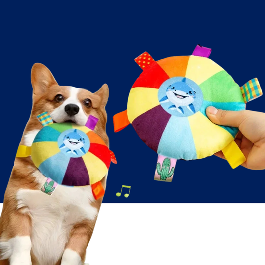 Rainbow Plush Flying Saucer Dog Toy – Interactive Chew & Training Disc - BIG FRENCHIES
