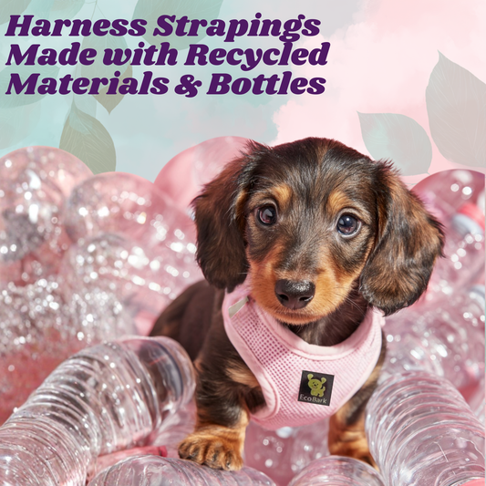 Rapid Fastener Step In Dog Harnesses - 30 Colors & Patterns / Baby Pink - BIG FRENCHIES