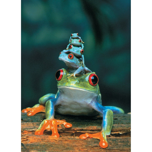 Red-Eyed Tree Frog 1000 Piece Jigsaw Puzzle Eurographics