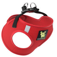 Teal Step In Dog Harness - Rapid Fastener Reflective Soft Mesh Vest Halter for Puppies and XXXS to Small Dogs - BIG FRENCHIES