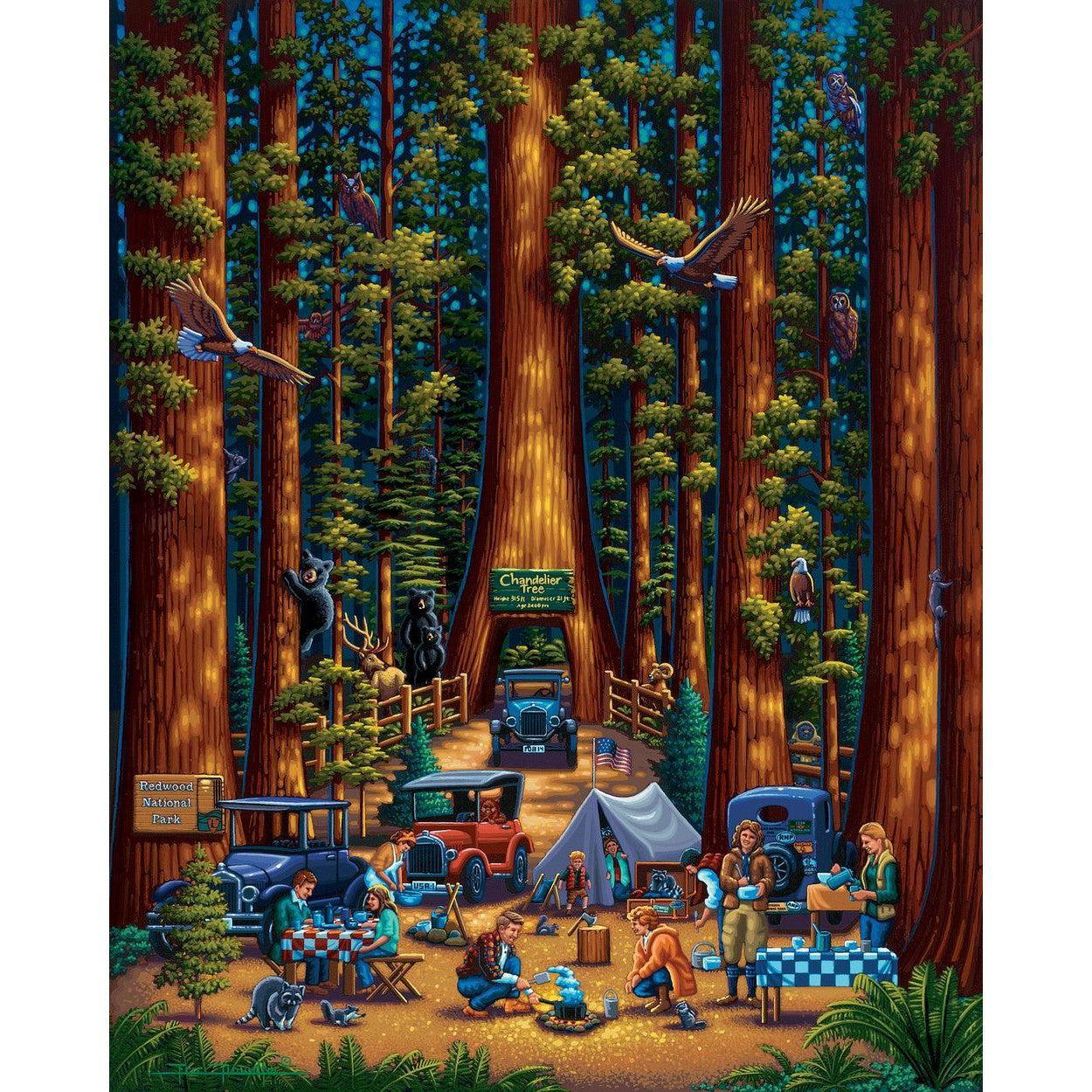 Redwood National Park 210 Piece Jigsaw Puzzle Dowdle - BIG FRENCHIES