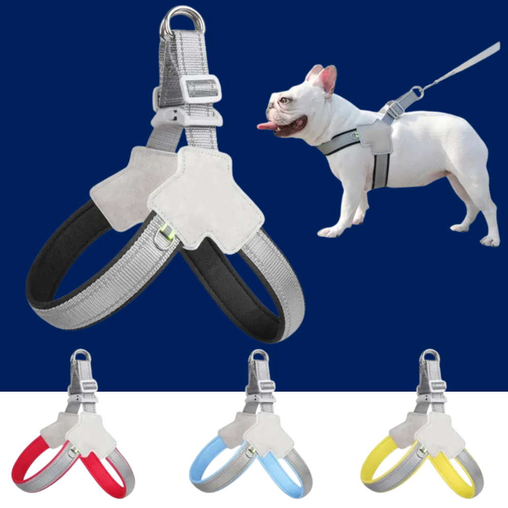 Reflective No-Pull Dog Harness – Adjustable Vest for Small & Medium Dogs - BIG FRENCHIES