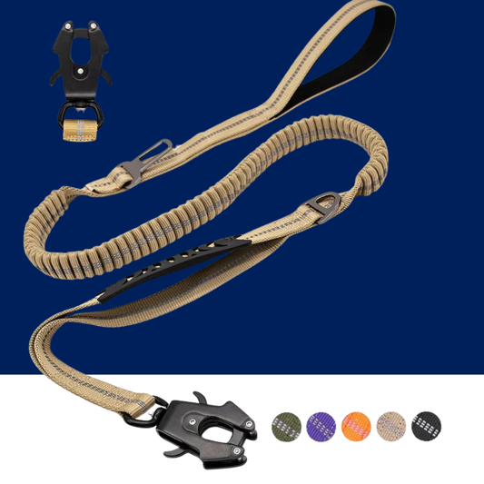 Reflective Shock Absorbing Bungee Dog Leash with Seatbelt Clip - BIG FRENCHIES
