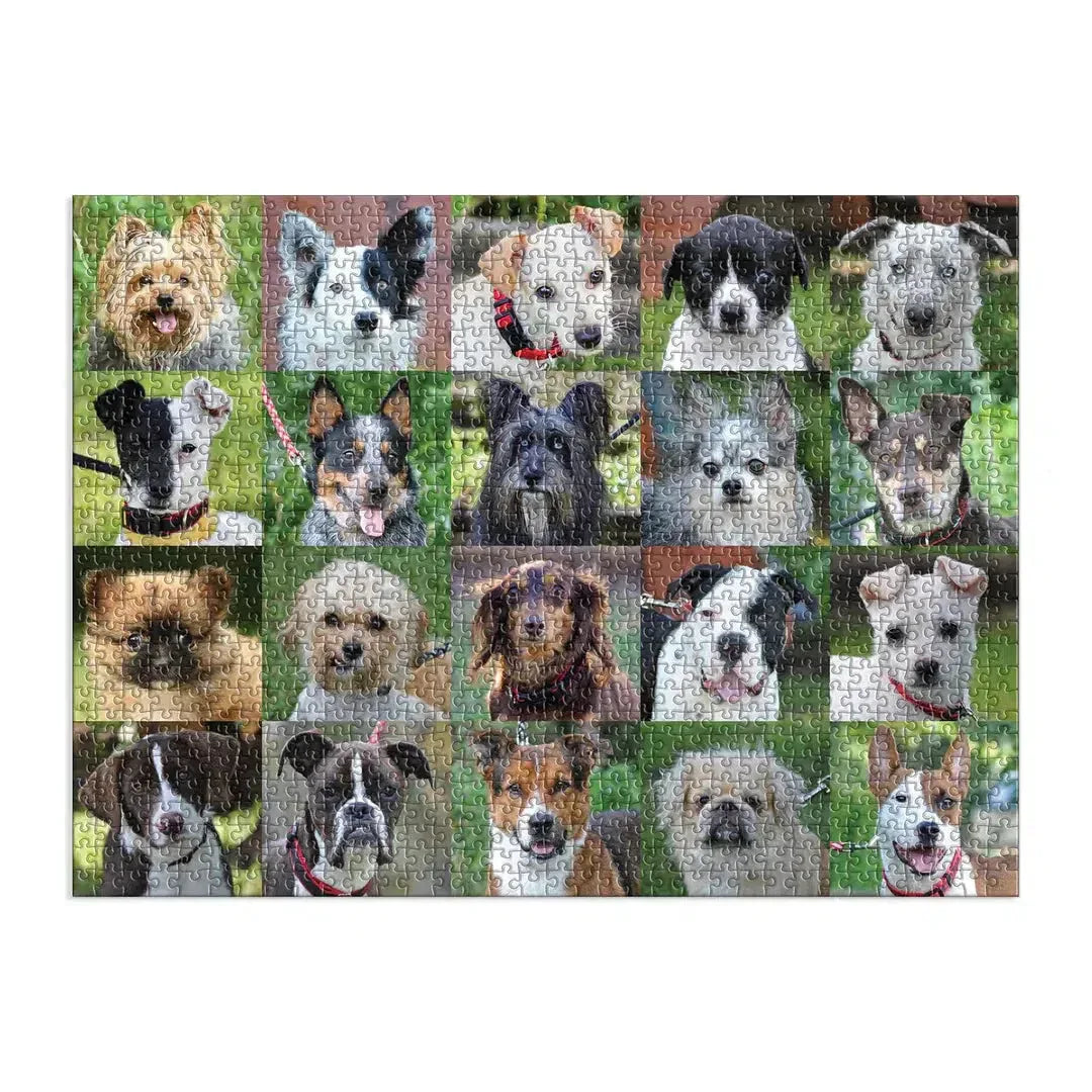 Rescue Dogs 1000 Piece Jigsaw Puzzle Galison - BIG FRENCHIES