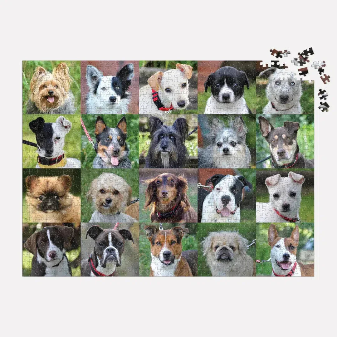 Rescue Dogs 1000 Piece Jigsaw Puzzle Galison - BIG FRENCHIES