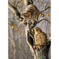 Ringtail Raiders 1000 Piece Jigsaw Puzzle Cobble Hill