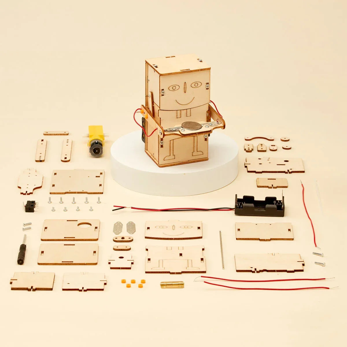 Money Bank Robot DIY Kit, Educational STEM Toy - BIG FRENCHIES