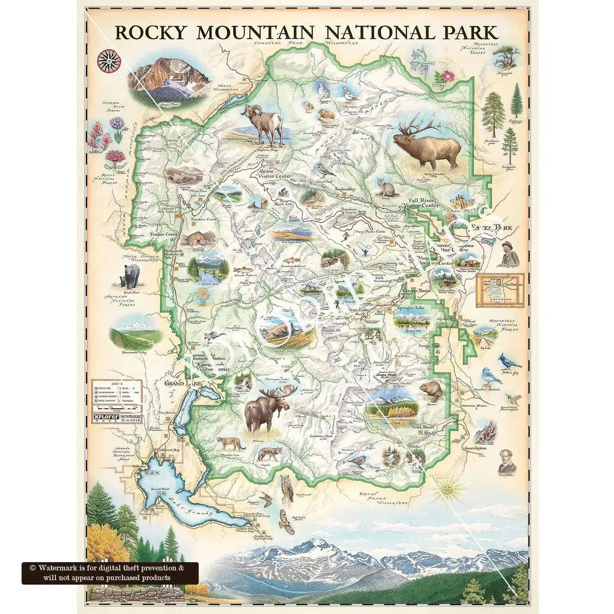Rocky Mountain National Park 1000 Piece Jigsaw Puzzle Xplorer Maps - BIG FRENCHIES