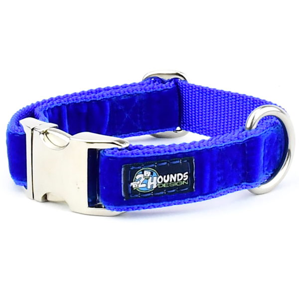 Royal Blue Velvet Essential Dog Collar-Pet Collars & Leashes-BIG FRENCHIES-2 Hounds Design