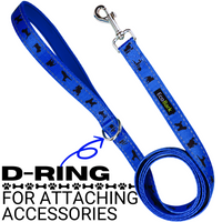 EcoBark Royal Blue Dog Leash- Padded Comfort Grip Leash - 4ft, 5ft, and 6ft Leash for Small and Medium Dogs - BIG FRENCHIES