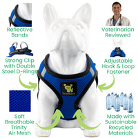 EcoBark Royal Blue Step In Dog Harness - Rapid Fastener Reflective Soft Mesh Vest Halter for XXXS to Small Dogs and Puppies - BIG FRENCHIES