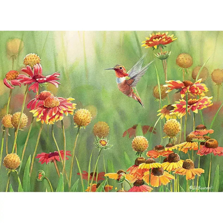 Rufous Hummingbird 500 Piece Jigsaw Puzzle Cobble Hill - BIG FRENCHIES
