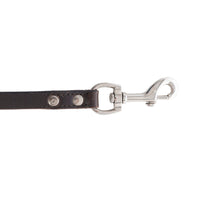 Viaje Dog Leash in Ebony