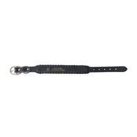 Running Wind Dog Collar In Black