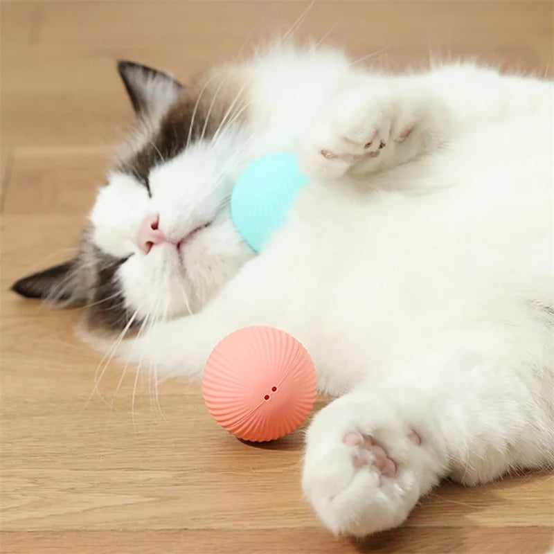 Smart Interactive Dog Toy Ball - BIG FRENCHIES