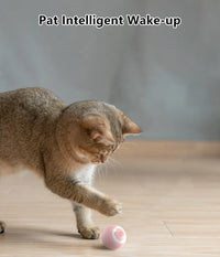 Smart Cat Toy Ball: Auto-Rolling for Active Play - BIG FRENCHIES