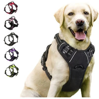 Heavy Duty Tactical Dog Harness with Handle - BIG FRENCHIES