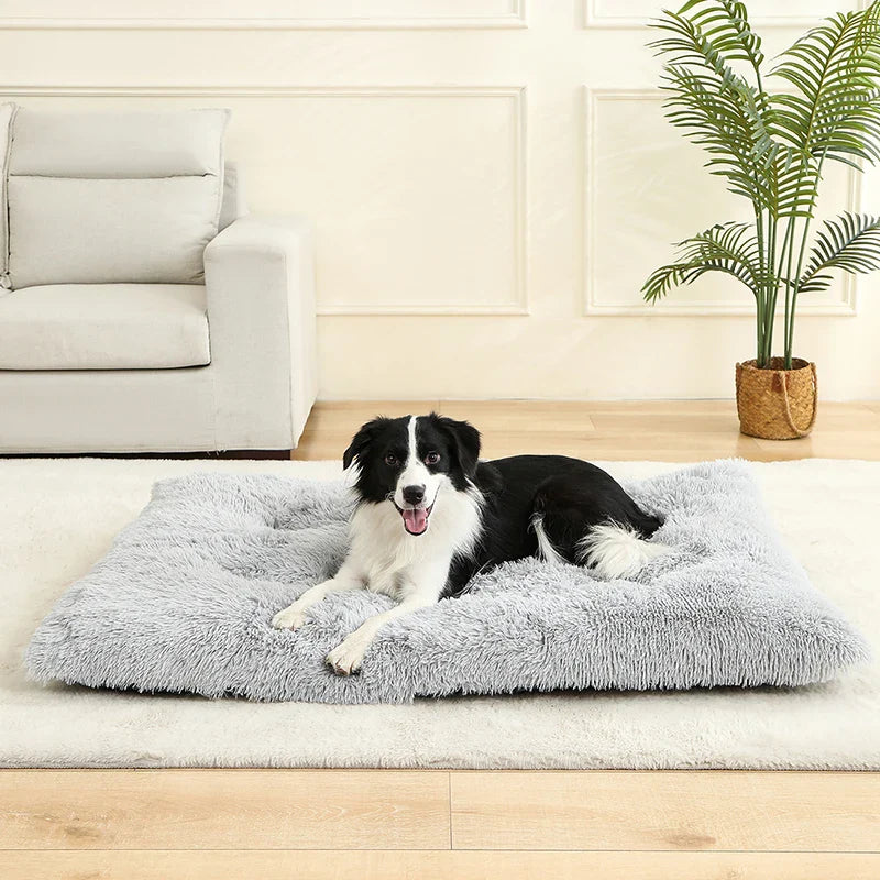 Plush Soft Dog & Cat Bed – Cozy Pet Sleeping Sofa - BIG FRENCHIES
