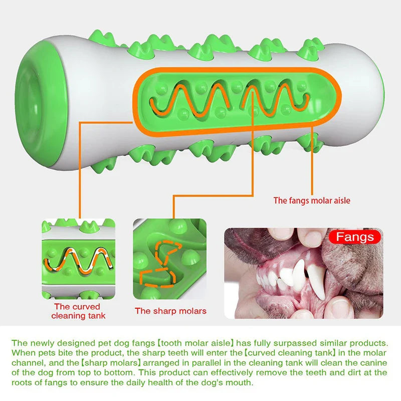 Chew-Resistant Rubber Dog Toy for Dental Health - BIG FRENCHIES