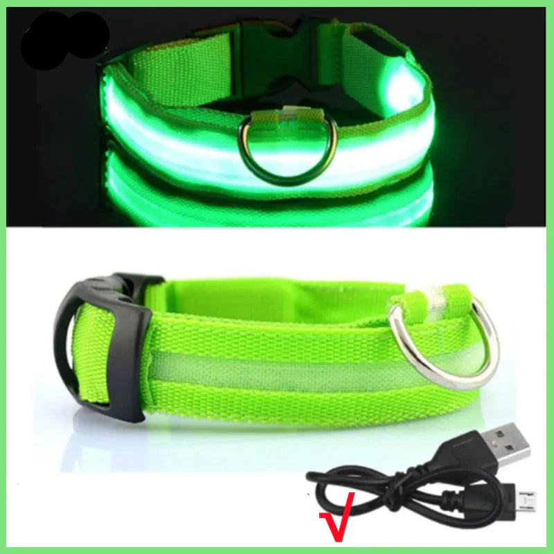 LED Pet Dog Collar for Night Safety | Bright USB Rechargeable - BIG FRENCHIES